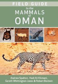 bokomslag Field Guide to the Mammals of Oman