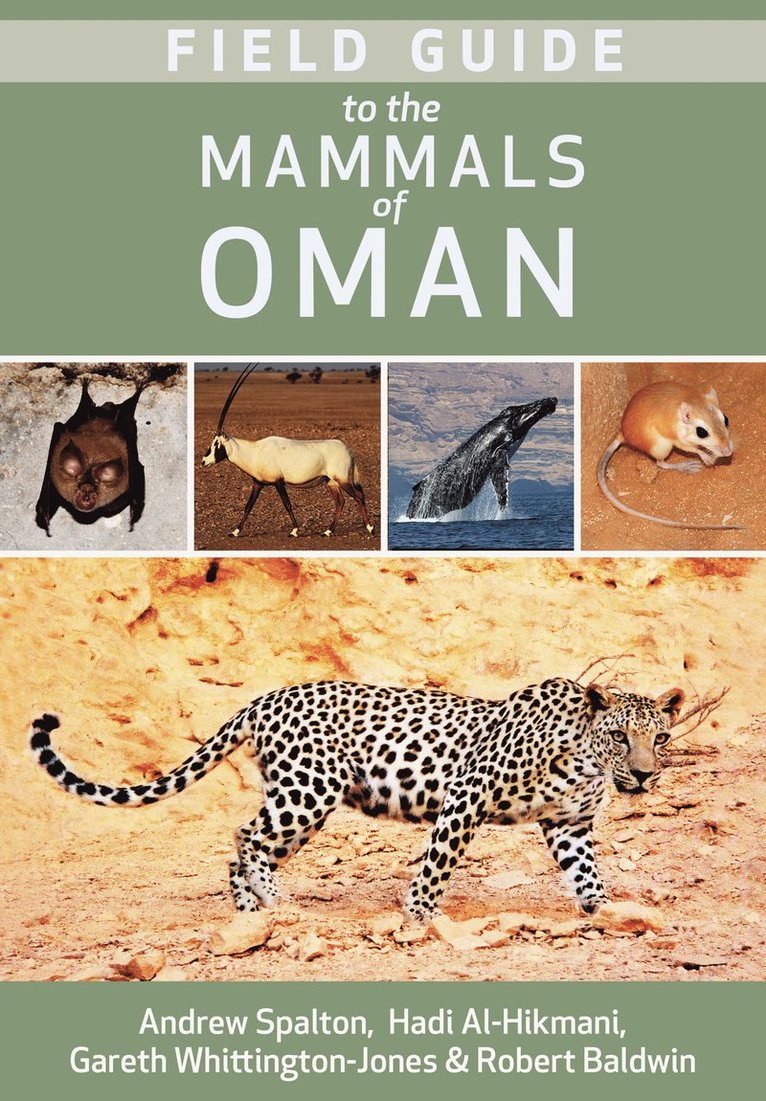 Andrew Spalton, Hadi Al Hikmani, Gareth Whittington-Jones, Robert Baldwin - Field Guide to the Mammals of Oman, Häftad