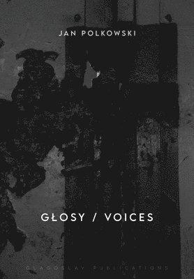 bokomslag Glosy / Voices