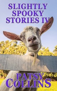bokomslag Slightly Spooky Stories IV