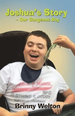 bokomslag Joshua's Story - Our Gorgeous Boy