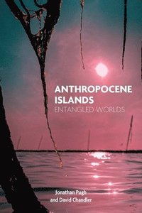 bokomslag Anthropocene Islands