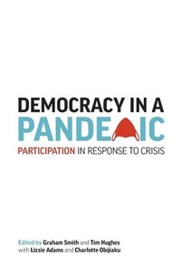 bokomslag Democracy in a Pandemic