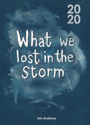 Iain Andrews - What We Lost In The Storm, Häftad