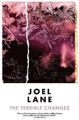 Joel Lane - Terrible Changes, Häftad