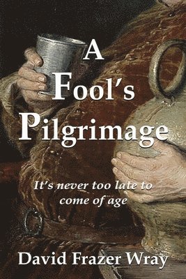 bokomslag Fool's Pilgrimage