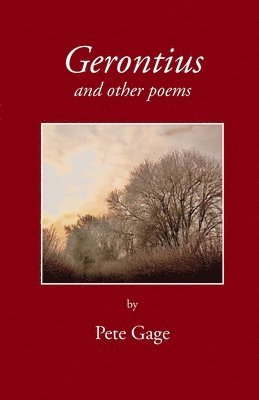 bokomslag Gerontius and other poems