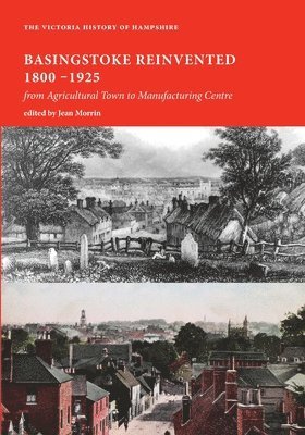 bokomslag Basingstoke Reinvented