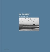 bokomslag In Sussex