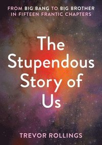bokomslag The Stupendous Story of Us