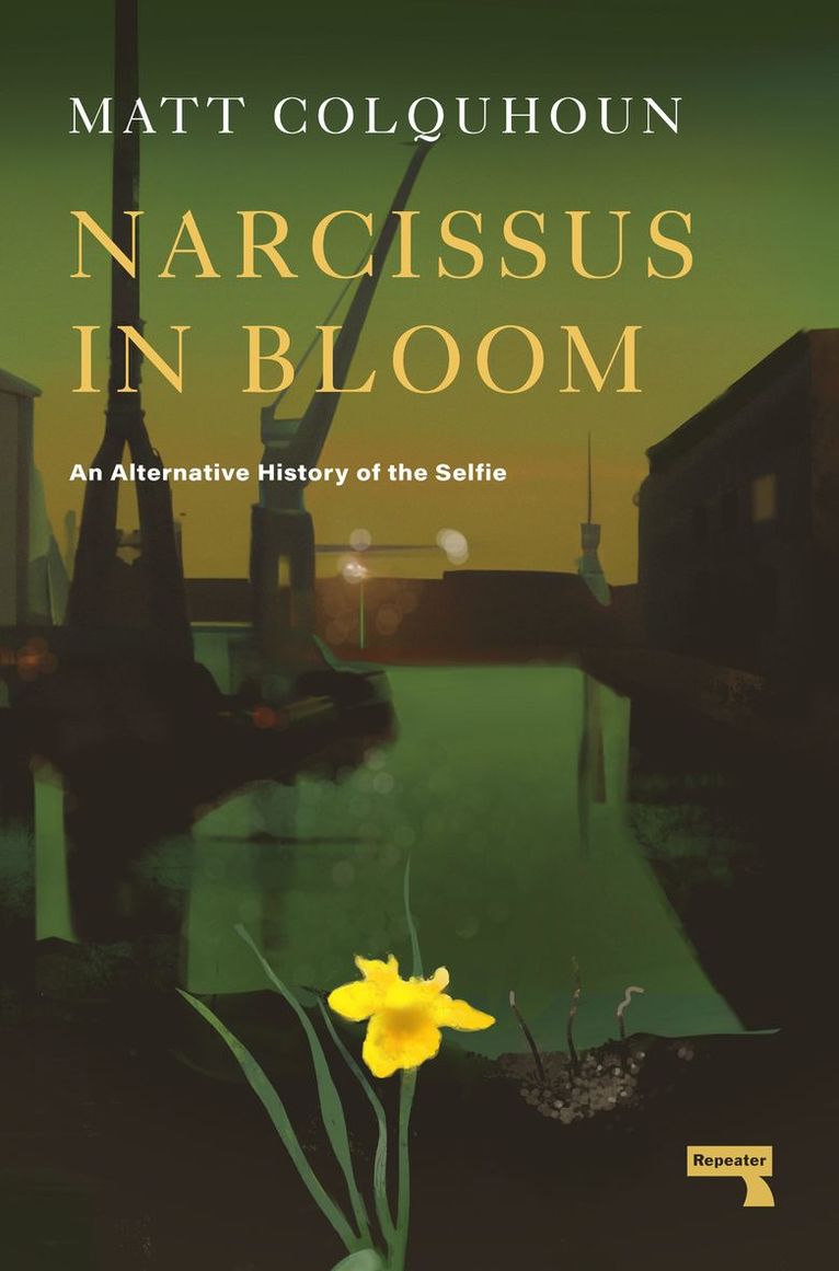 Narcissus in Bloom