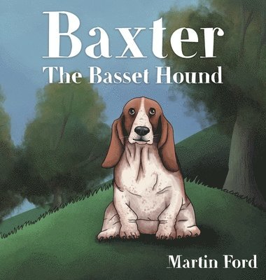 Baxter the Basset Hound 1