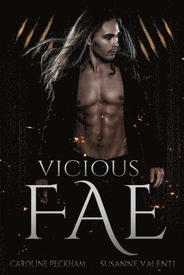 bokomslag Vicious Fae