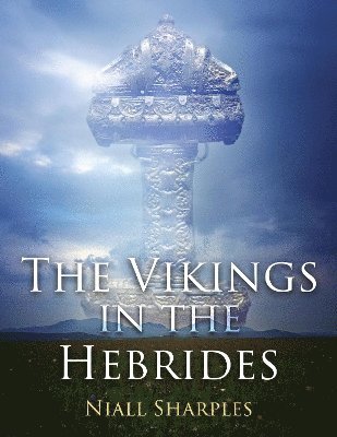 bokomslag The Vikings in the Hebrides