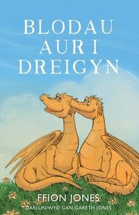 bokomslag Blodau Aur I Dreigyn