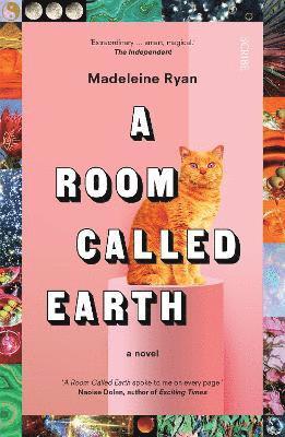 bokomslag Room Called Earth