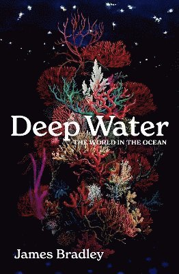 bokomslag Deep Water