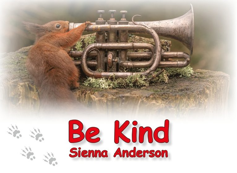 Sienna Anderson - Be Kind, Häftad