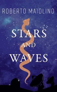 bokomslag Stars And Waves