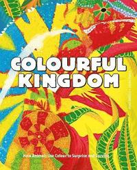 bokomslag Colourful Kingdom