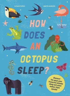 How Does An Octopus Sleep? 1