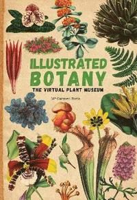 bokomslag Illustrated Botany