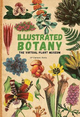 Illustrated Botany 1