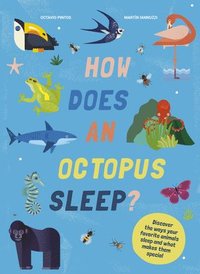 bokomslag How Does an Octopus Sleep?: Discover the Ways Your Favorite Animals Sleep