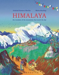 bokomslag Himalaya: The Wonders of the Mountains That Touch the Sky