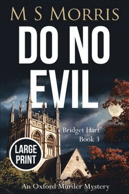 Do No Evil (Large Print) 1