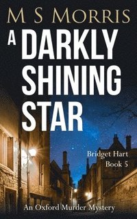 bokomslag A Darkly Shining Star