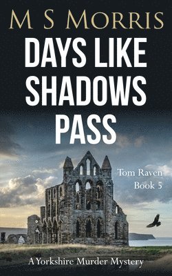 Days Like Shadows Pass 1