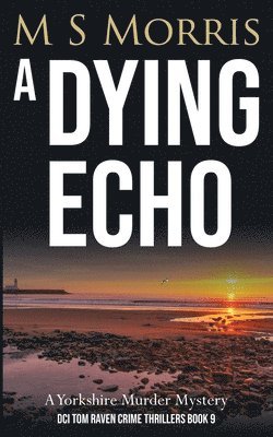 bokomslag Dying Echo