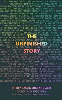 David J Montgomery, David Montgomery, Stephanie Heald - Unfinished Story, Häftad