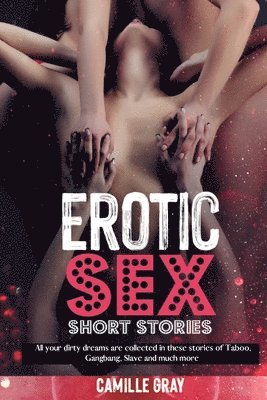 bokomslag Erotic Sex Short Stories