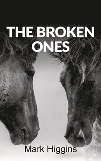 bokomslag The Broken Ones