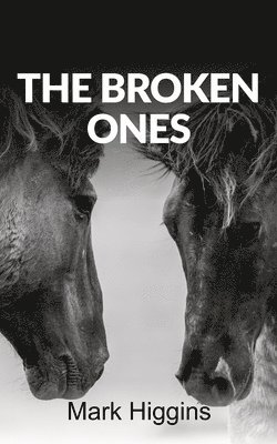 bokomslag Broken Ones