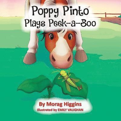 Poppy Pinto Plays Peek-a-Boo 1