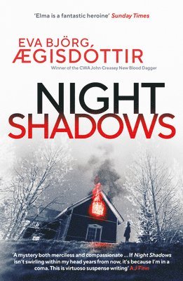 bokomslag Night Shadows