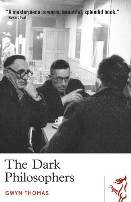 bokomslag Dark Philosophers