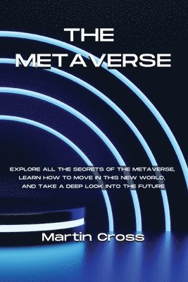 The Metaverse 1