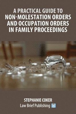 bokomslag Practical Guide to Non-Molestation Orders and Occupation Orders in Family Proceedings