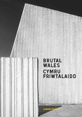 bokomslag Brutal Wales - Cymru Friwtalaidd