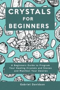 bokomslag Crystal for Beginners