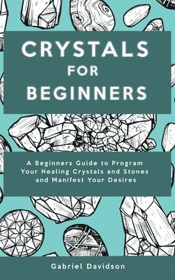 Gabriel Davidson - Crystal for Beginners, Inbunden