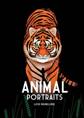 bokomslag Animal Portraits