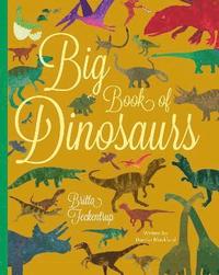 bokomslag Big Book of Dinosaurs