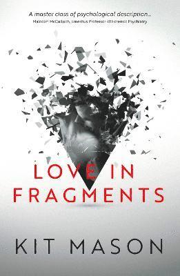 bokomslag Love in Fragments