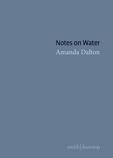 bokomslag Notes on Water