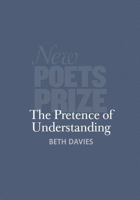 Beth Davies - Pretence of Understanding, Häftad